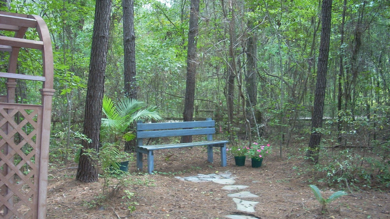 Photo of Outdoor in Edisto Island