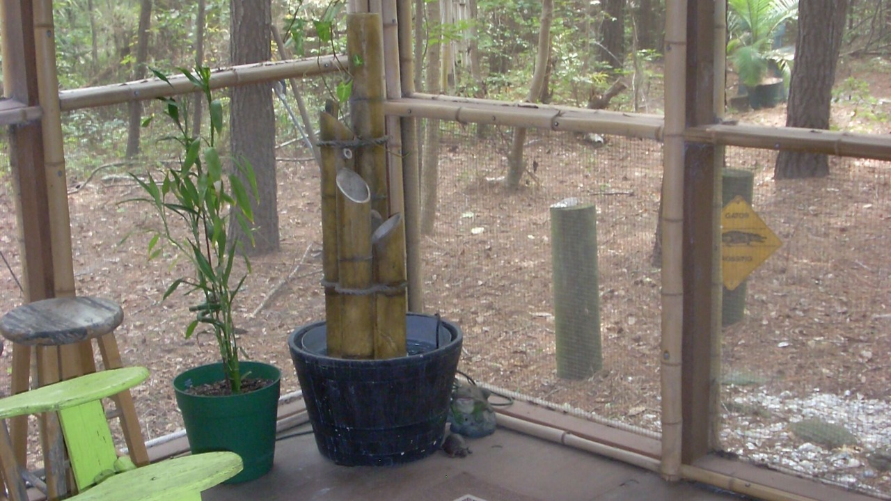 Photo of Patio Balcony in Edisto Island