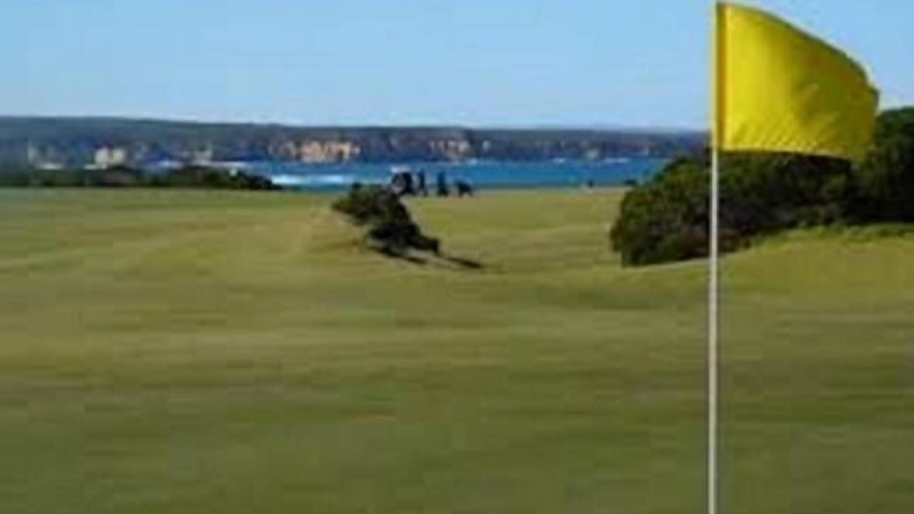 Photo of Others in Peterborough