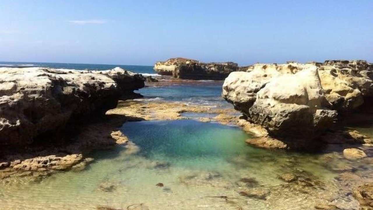 Photo of Others in Peterborough