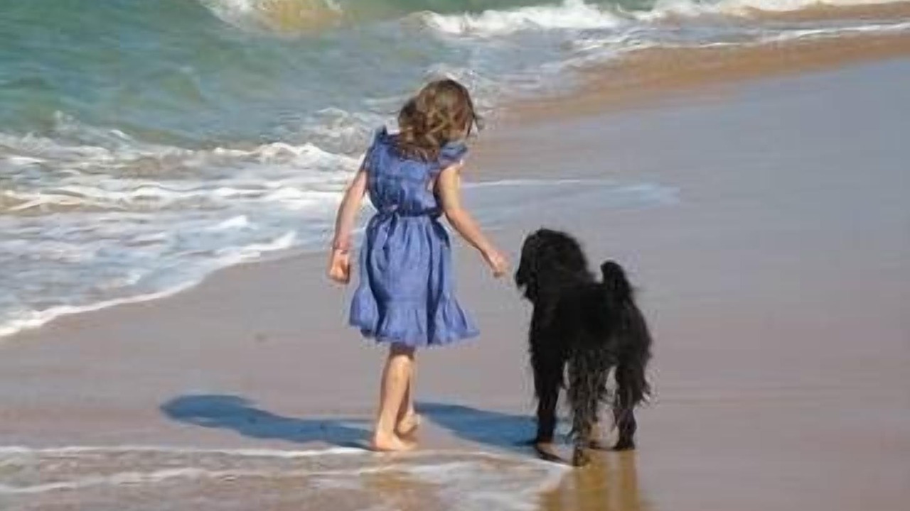 Photo of Others in Peterborough