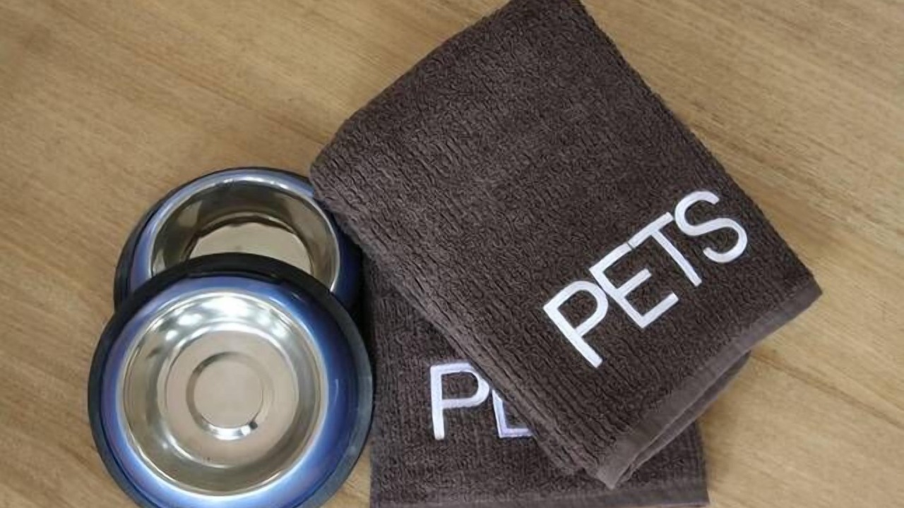 Photo of Others in Peterborough