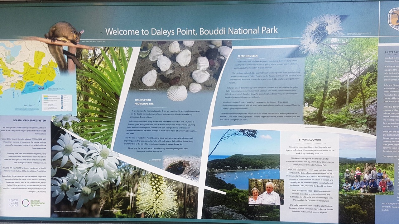 Photo of Others in Killcare Heights