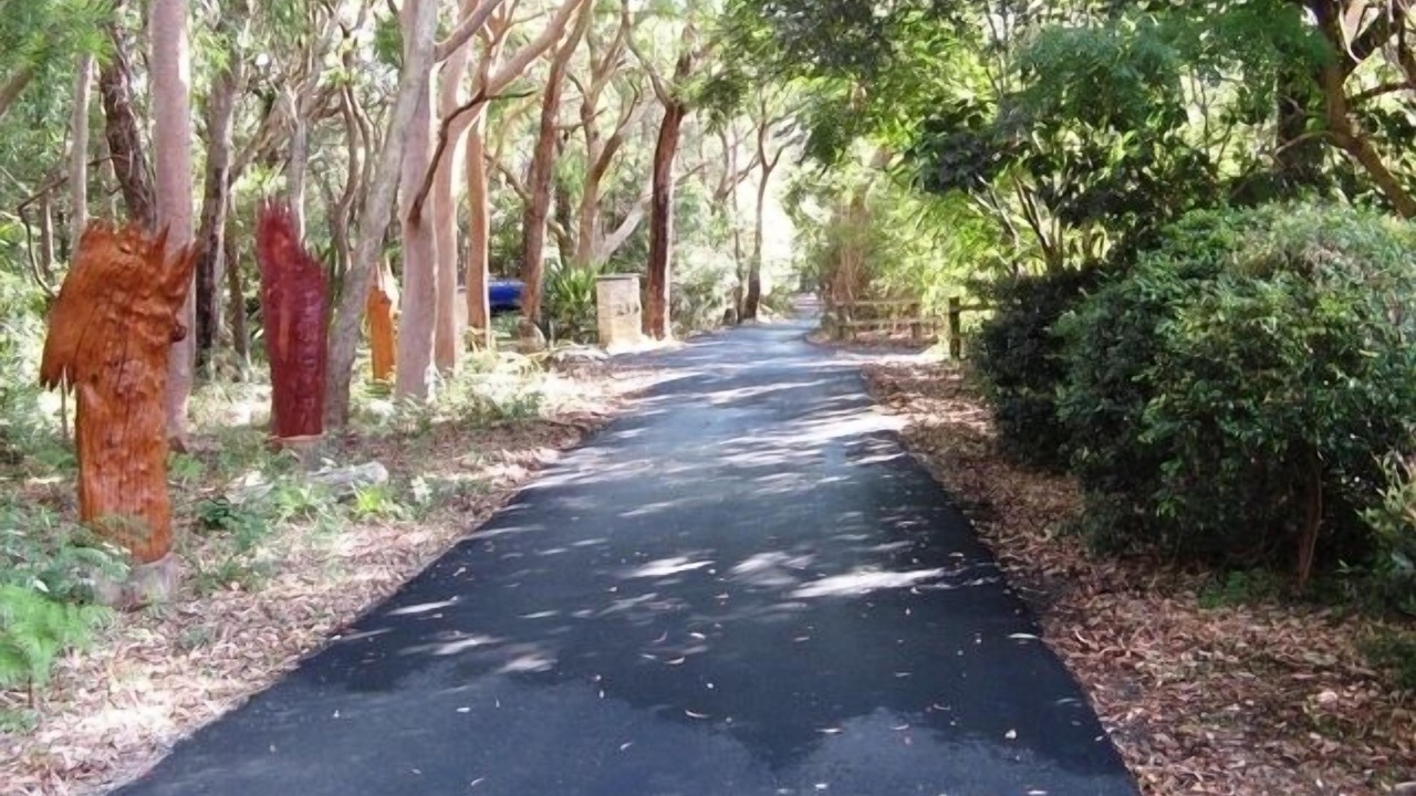 Photo of Outdoor in Killcare Heights