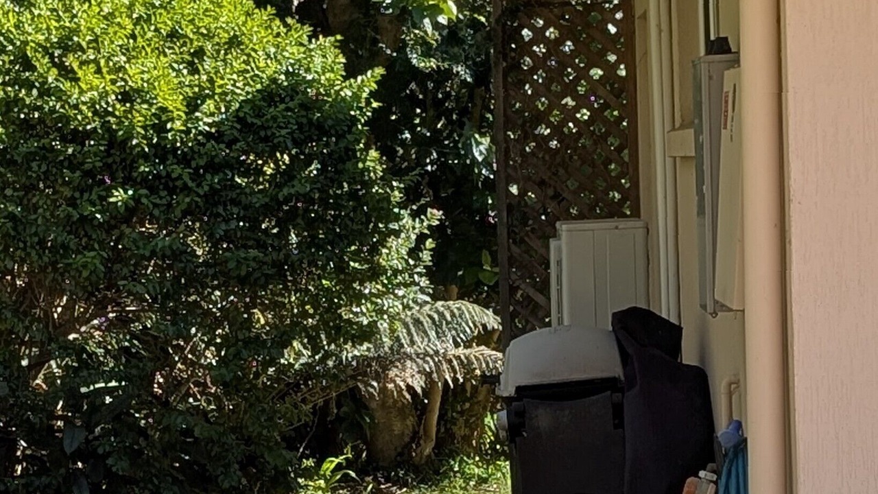 Photo of Outdoor in Killcare Heights