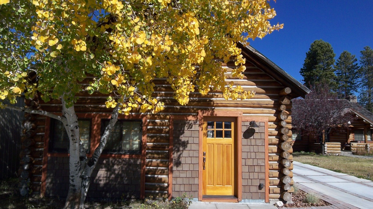 Photo of Outdoor in West Yellowstone