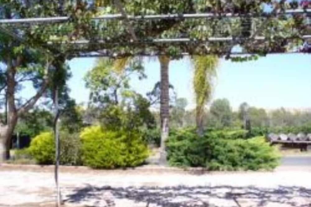 Photo of Outdoor in Paisley