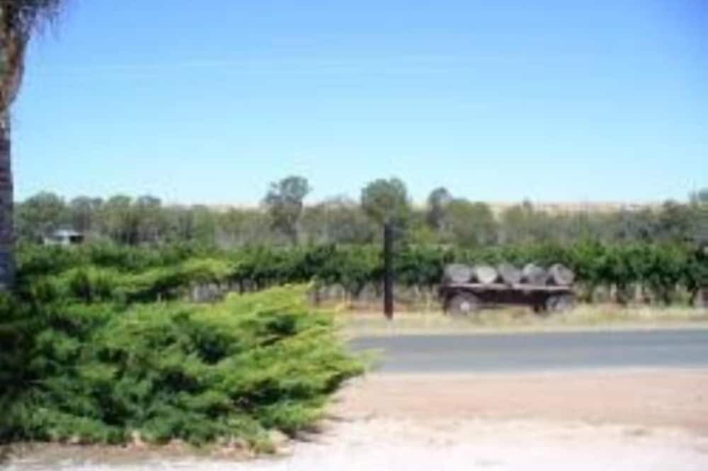 Photo of Others in Paisley