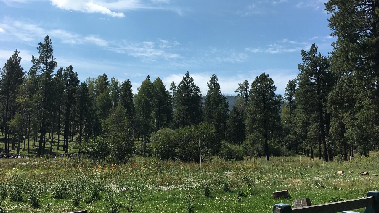 Photo of Outdoor in Eagar