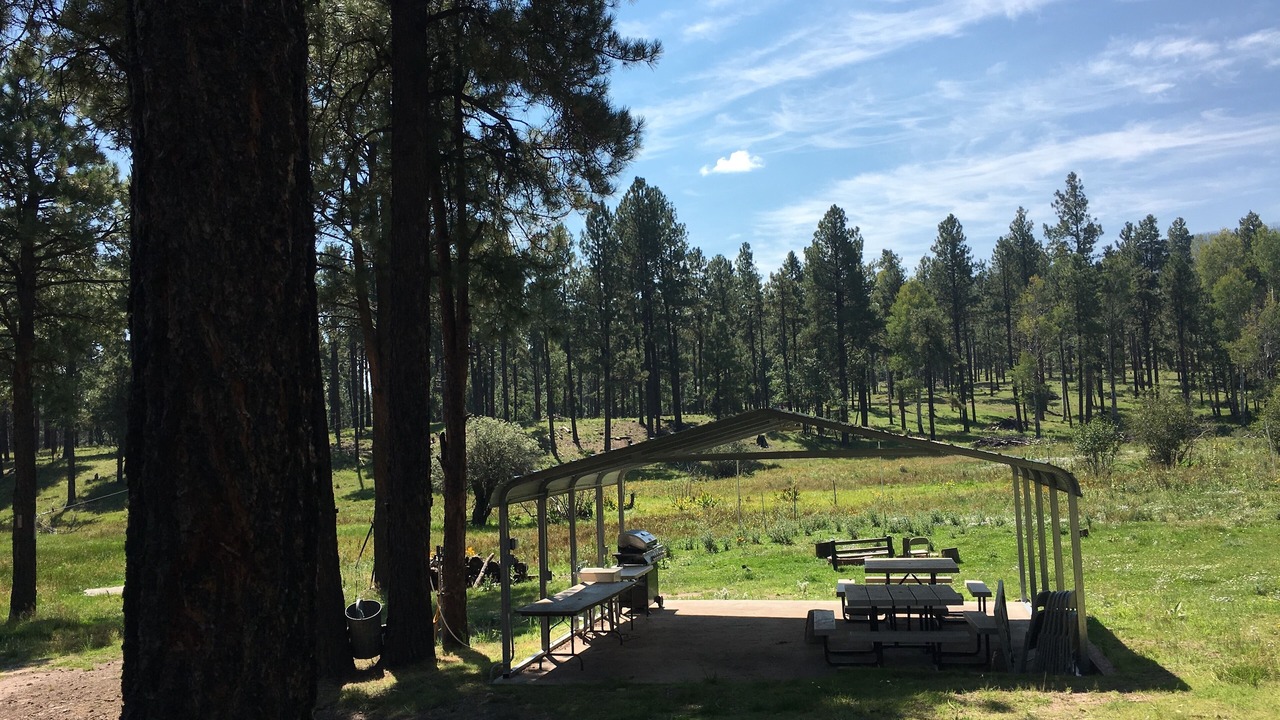 Photo of Outdoor in Eagar