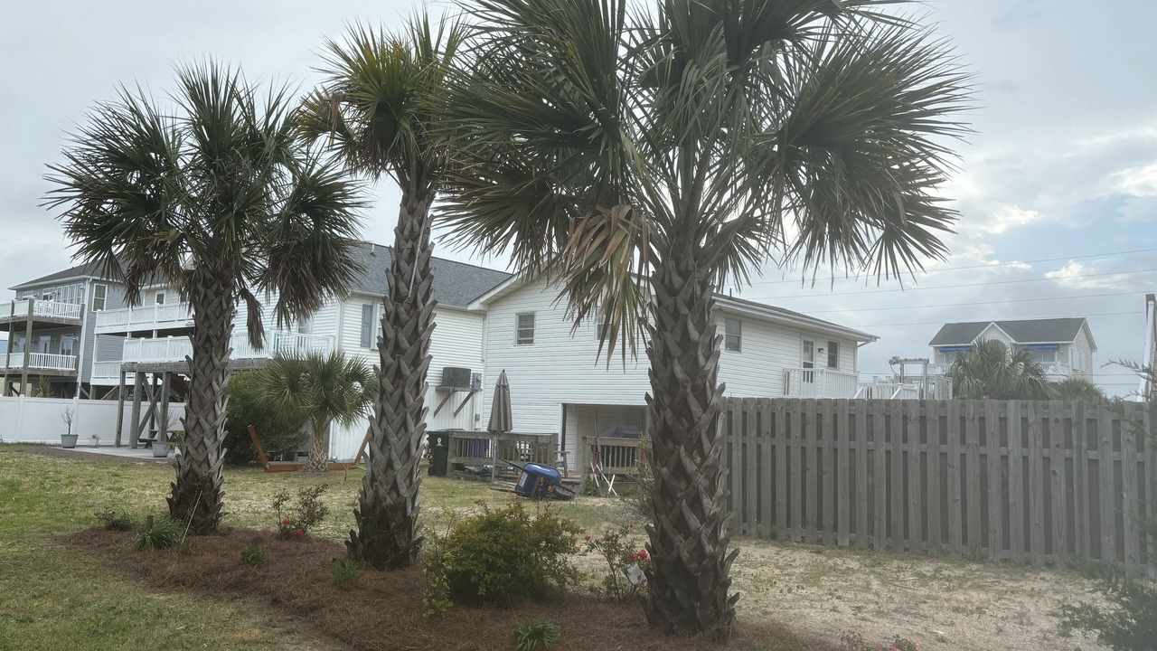 Photo of Outdoor in Surf City