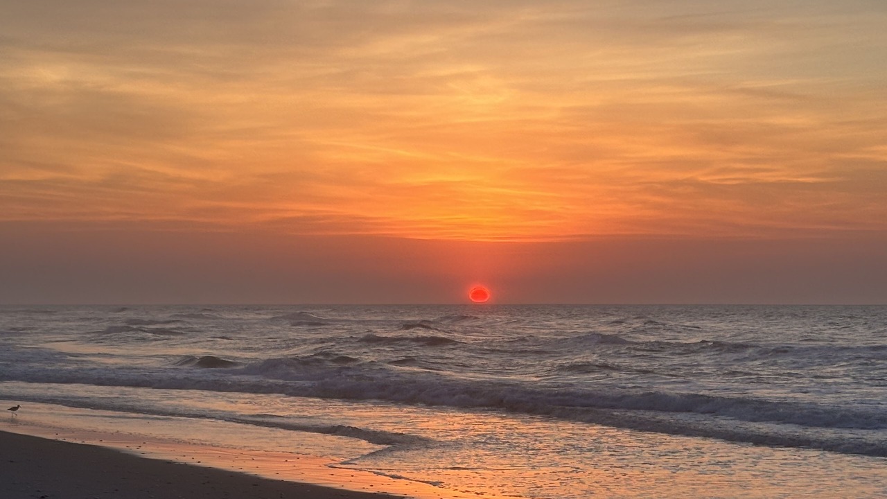 Photo of Others in Surf City