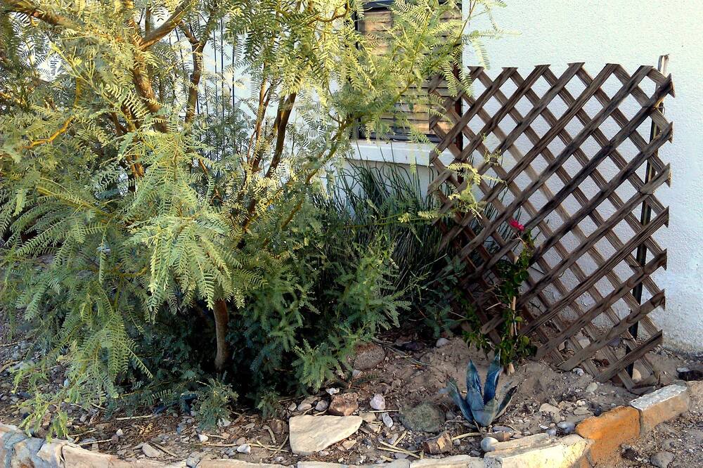 Photo of Outdoor in Lajitas