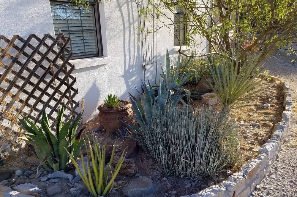 Photo of Outdoor in Lajitas