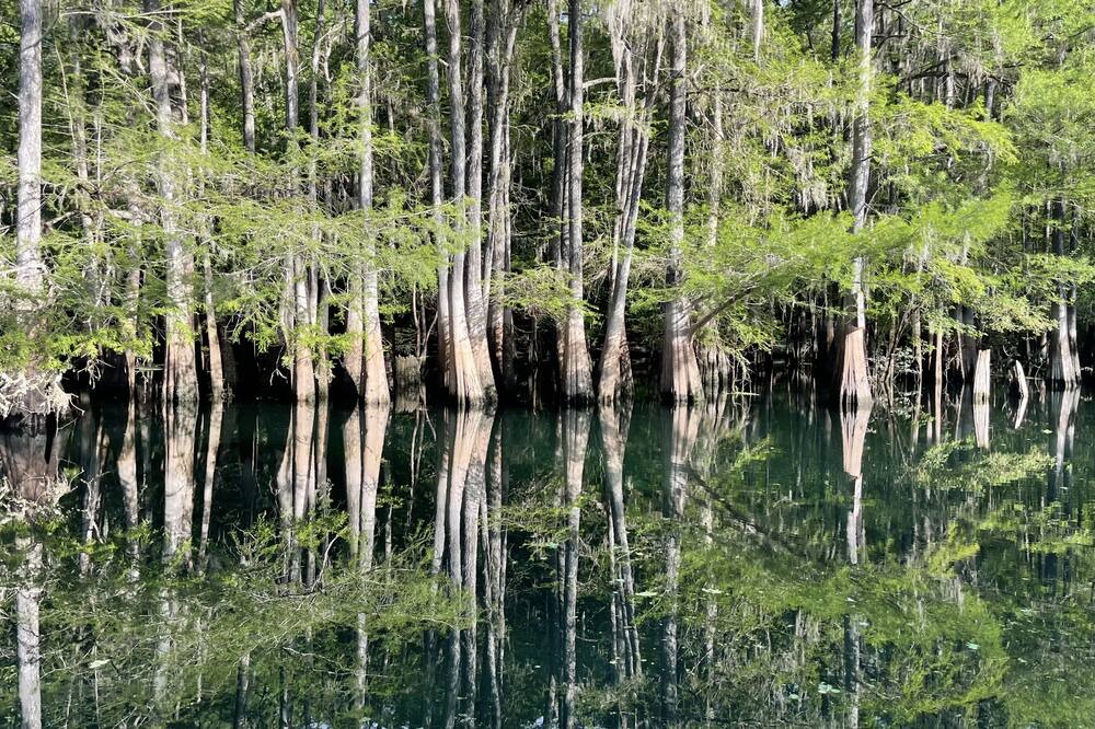 Photo of Others in Branford