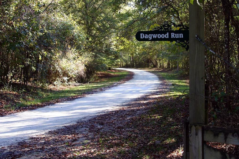 Photo of Others in Branford