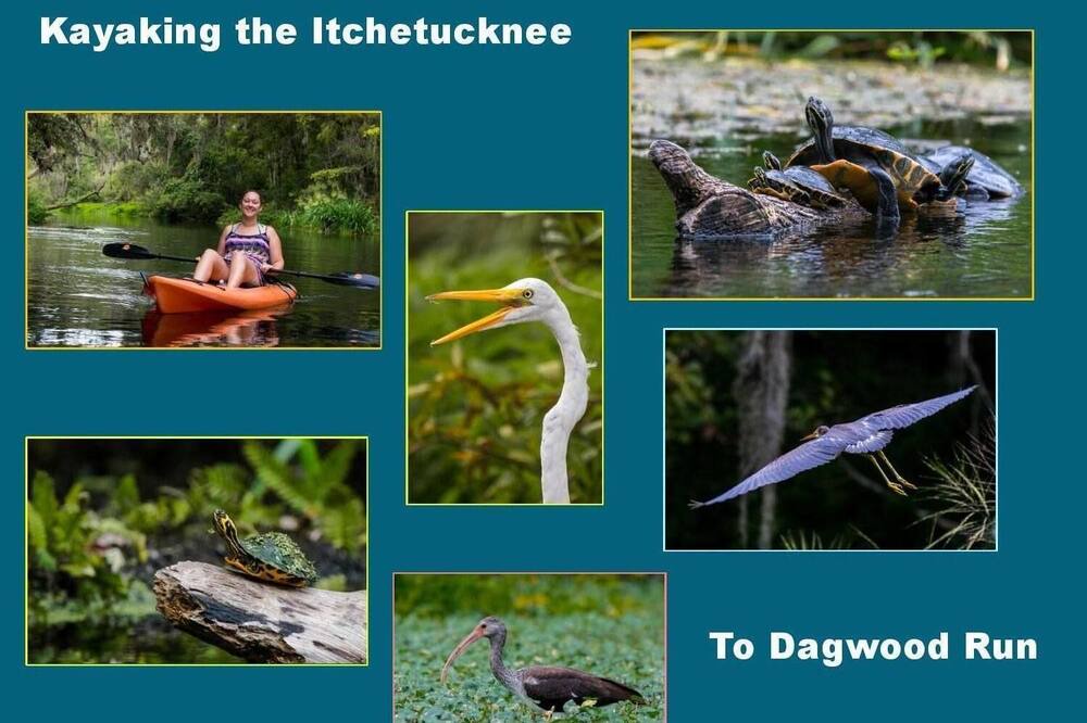 Photo of Others in Branford