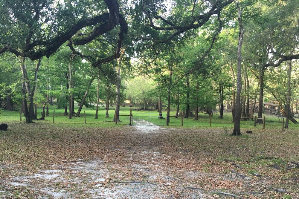 Photo of Others in Branford