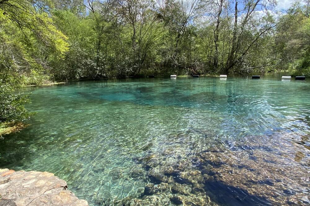 Photo of Others in Branford