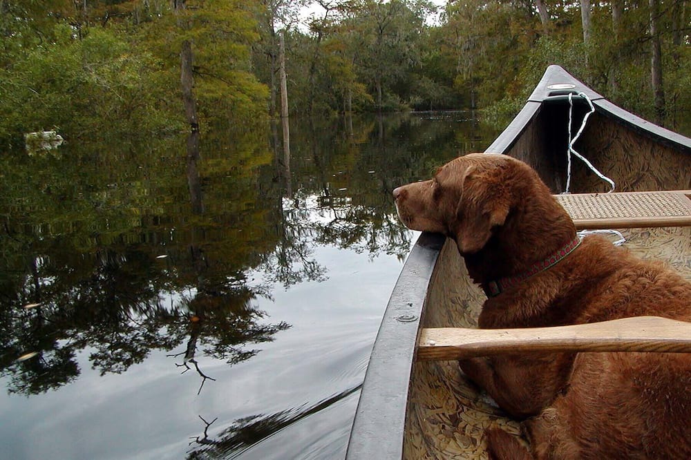 Photo of Others in Branford