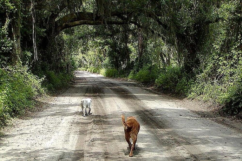 Photo of Others in Branford
