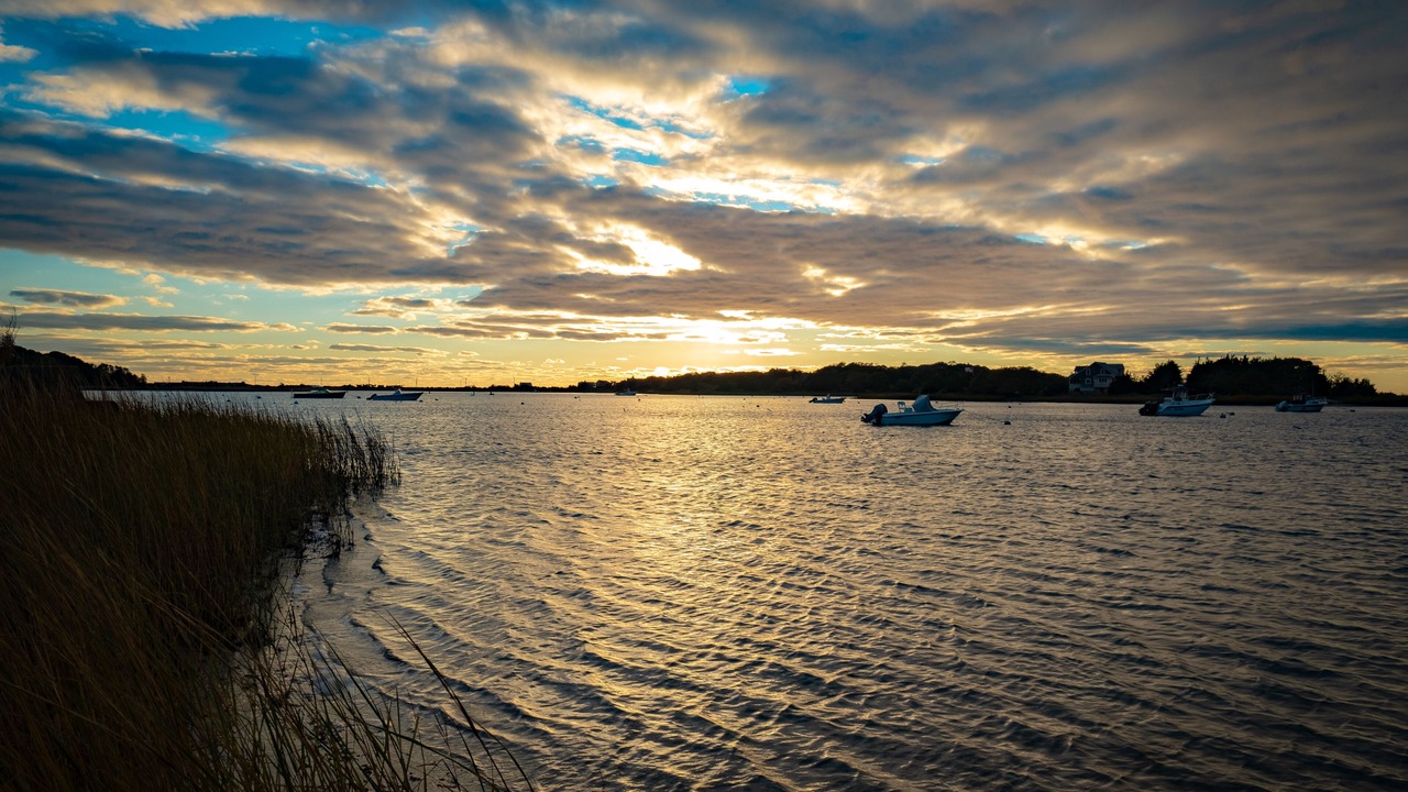 Photo of Others in West Falmouth