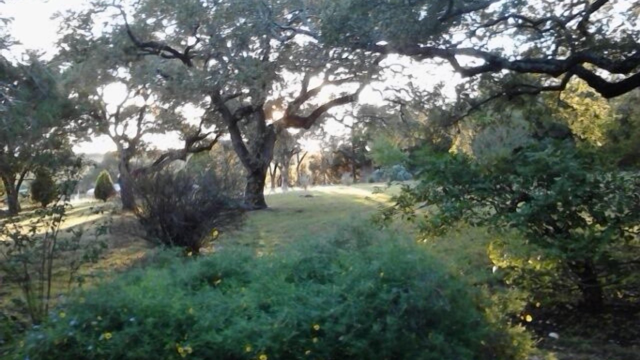 Photo of Outdoor in Bee Caves West