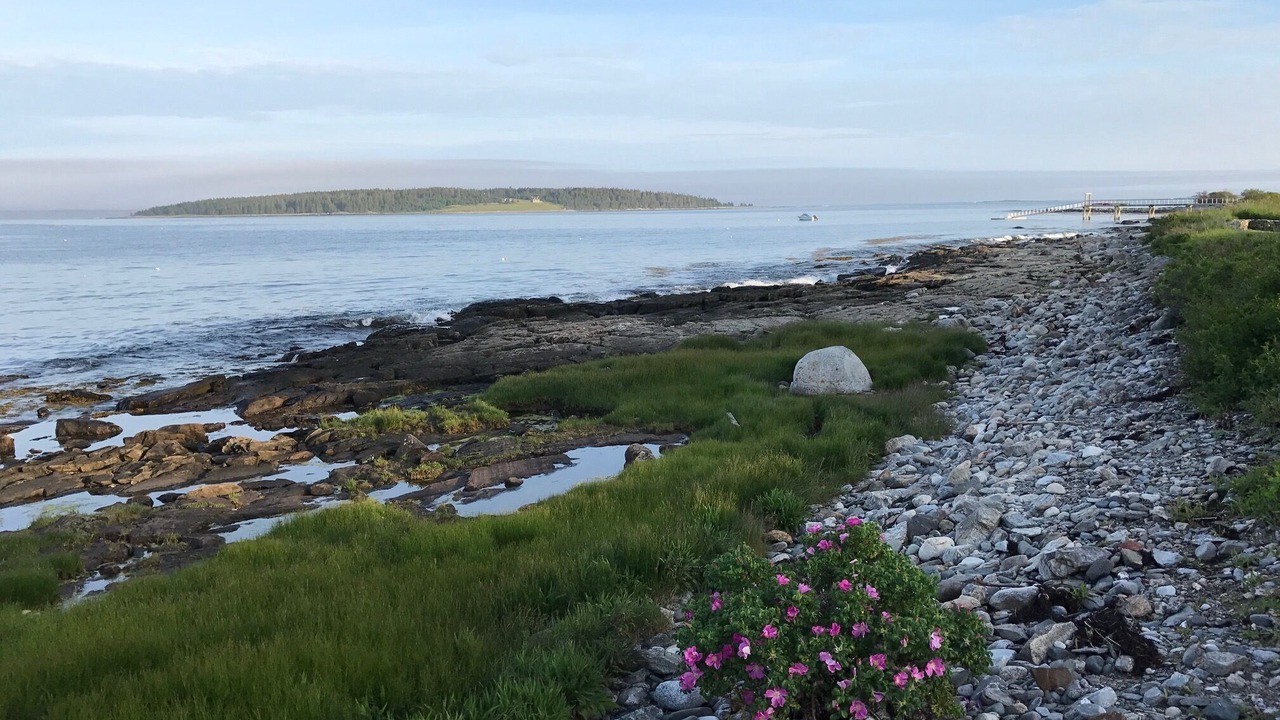 Photo of Others in Martinsville