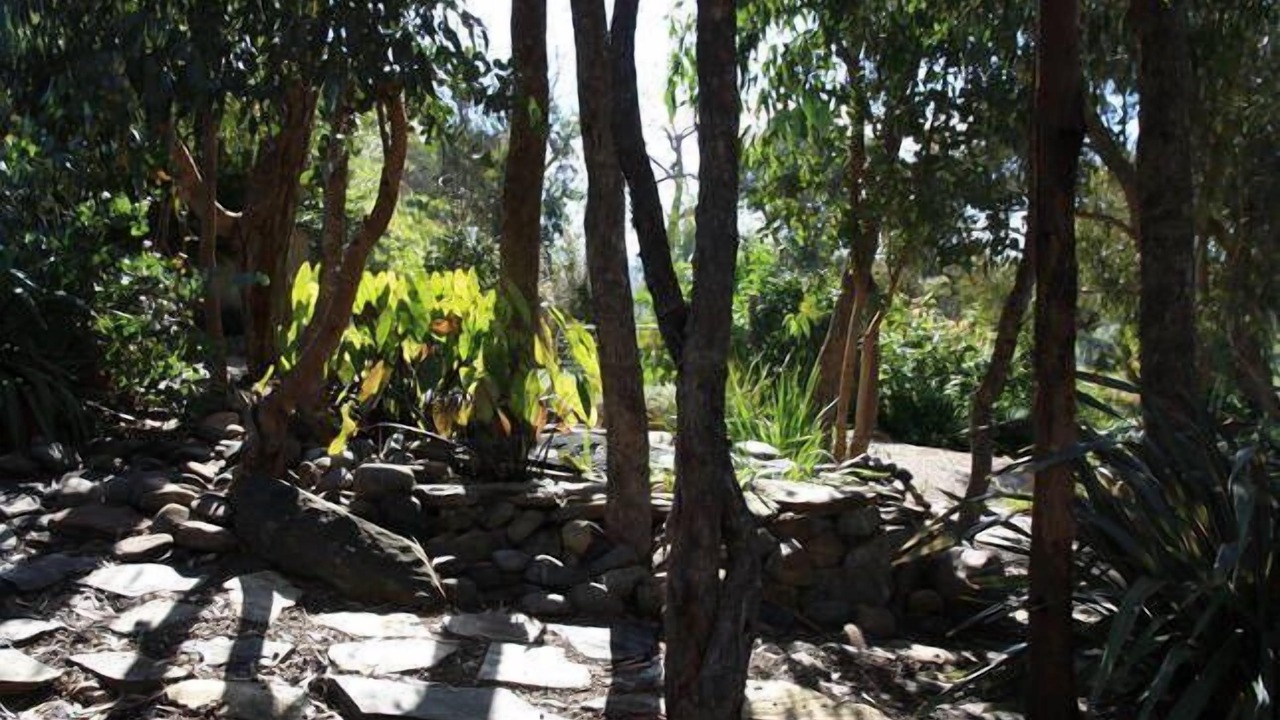 Photo of Outdoor in Mountain Bay