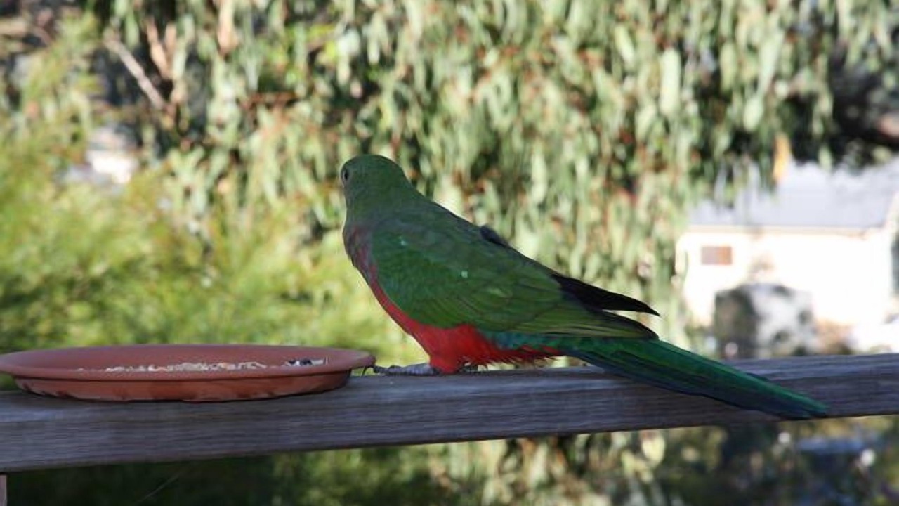 Photo of Outdoor in Mountain Bay