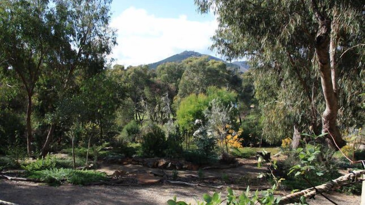 Photo of Outdoor in Mountain Bay