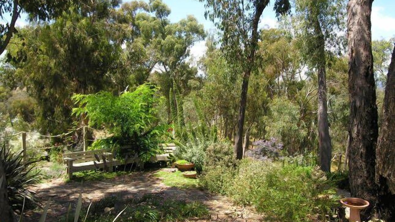 Photo of Outdoor in Mountain Bay