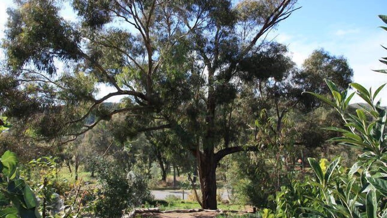 Photo of Outdoor in Mountain Bay