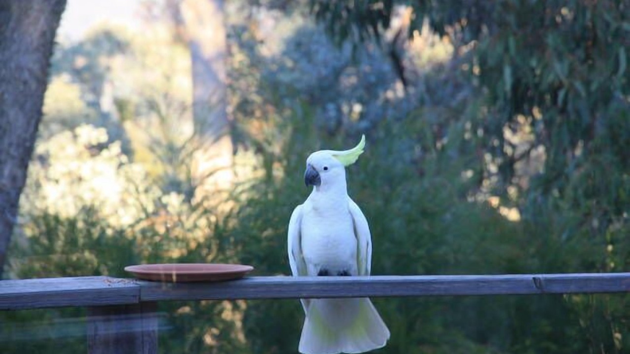 Photo of Outdoor in Mountain Bay