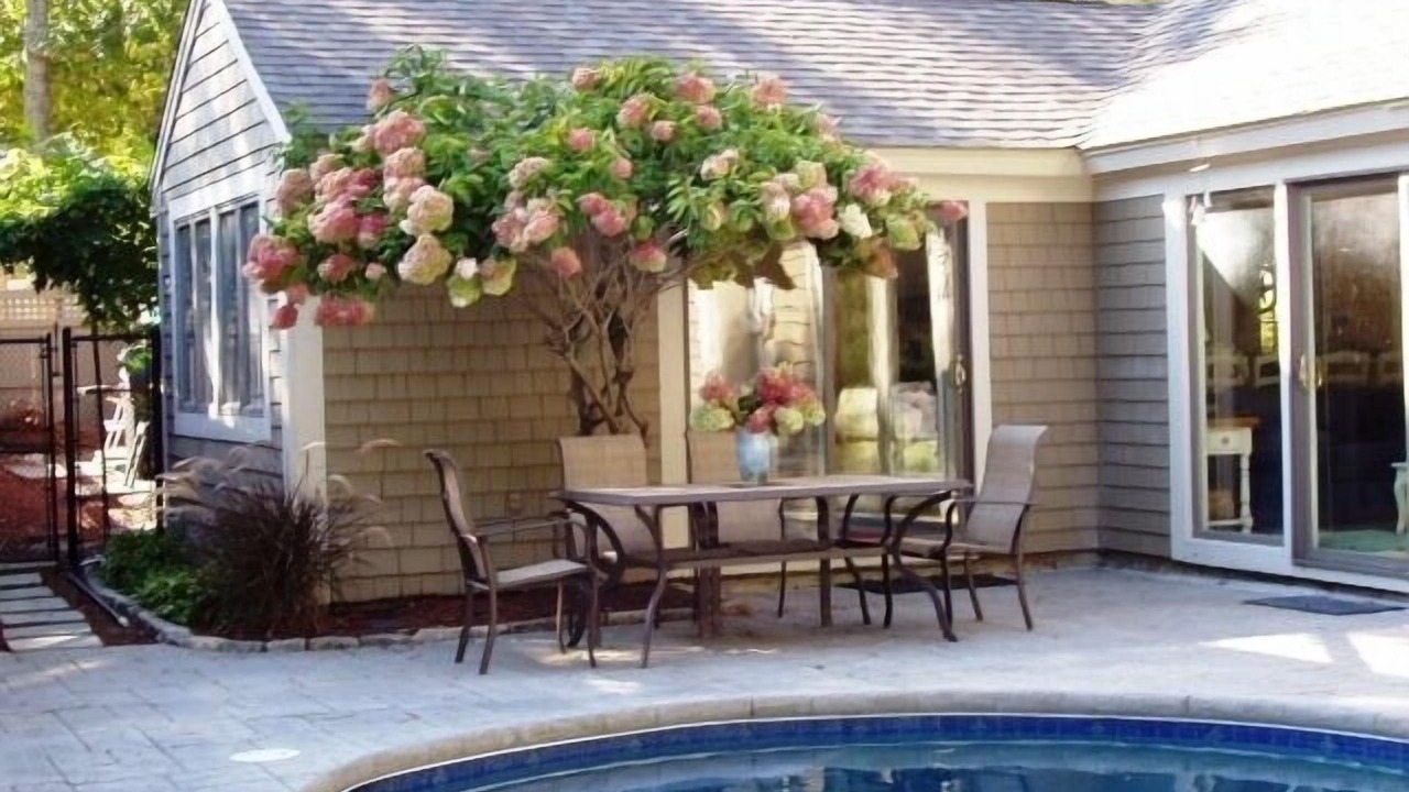 Photo of Outdoor in Mews Village