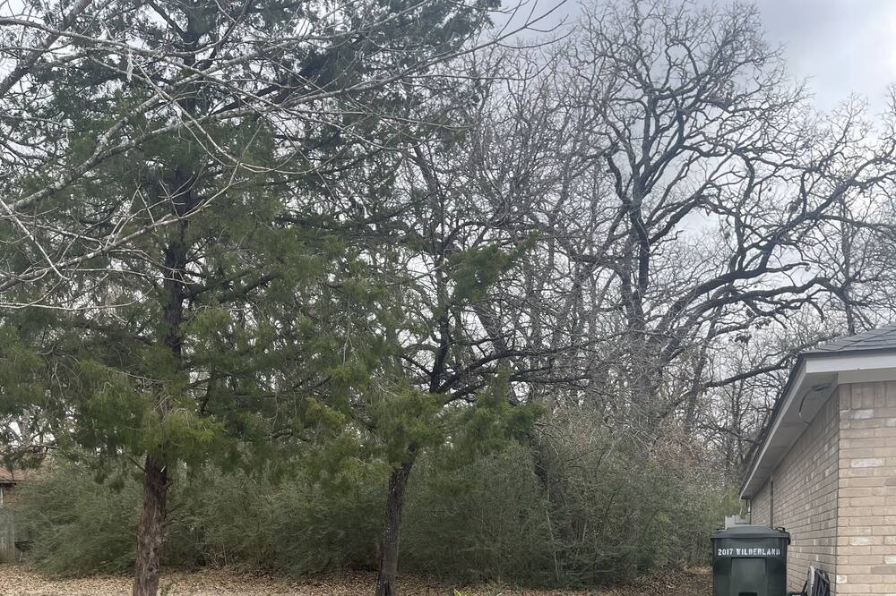 Photo of Outdoor in Shirewood