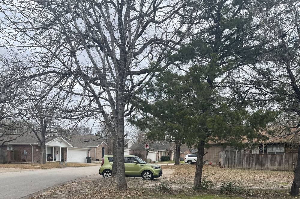 Photo of Others in Shirewood