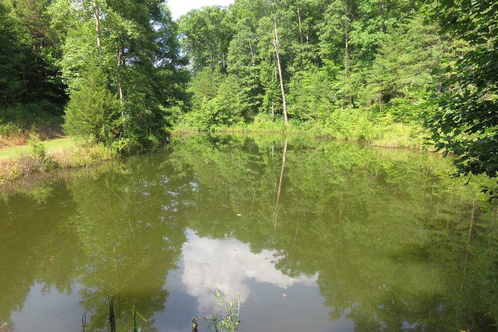 Photo of Others in East Bernstadt
