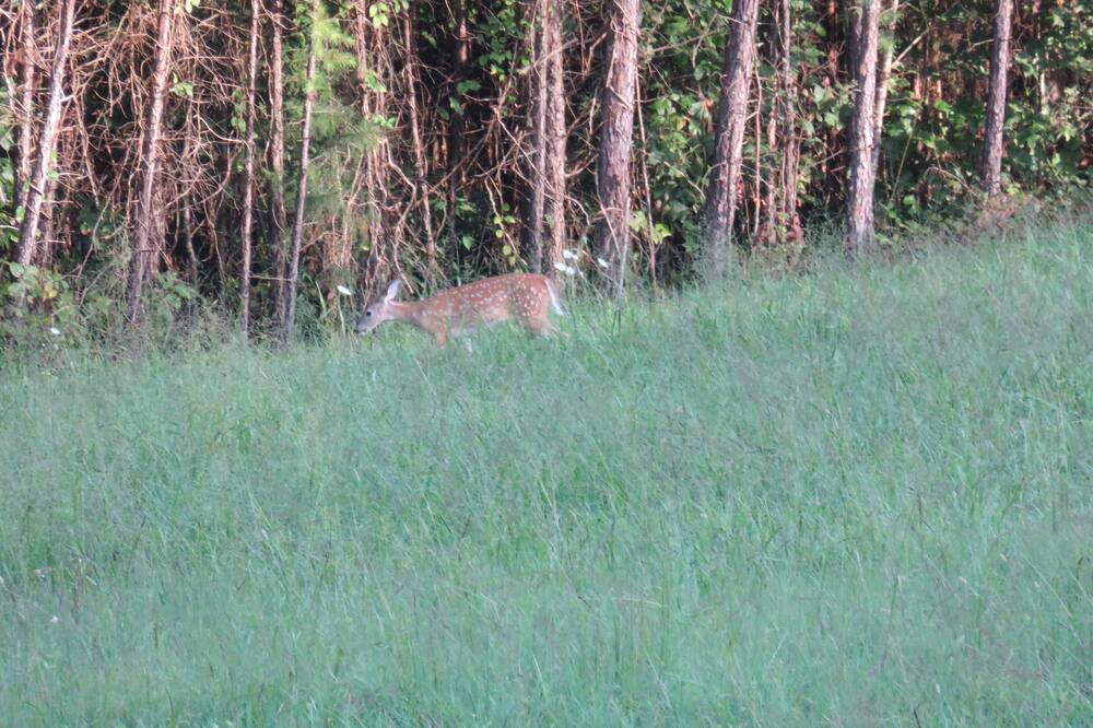 Photo of Others in East Bernstadt