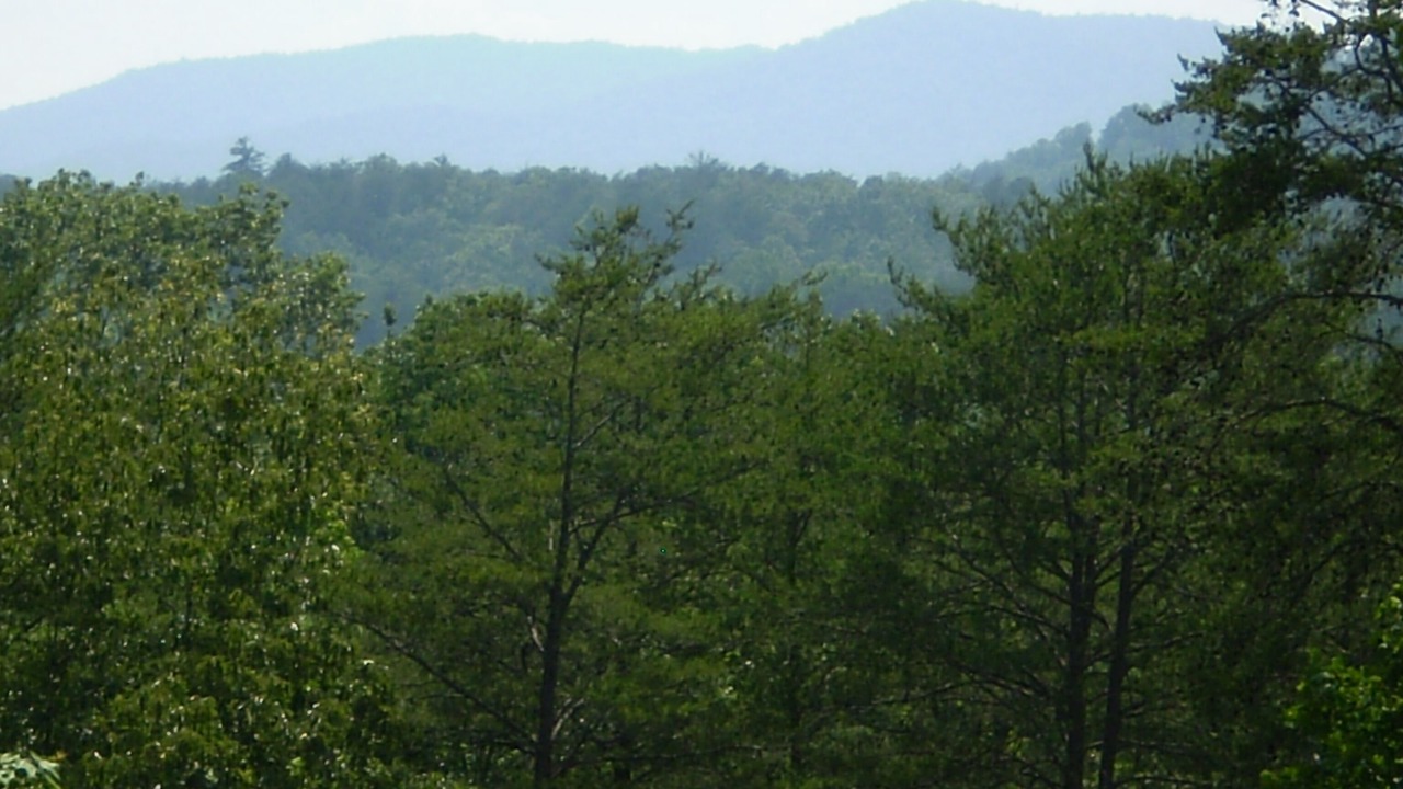 Photo of Others in Helen
