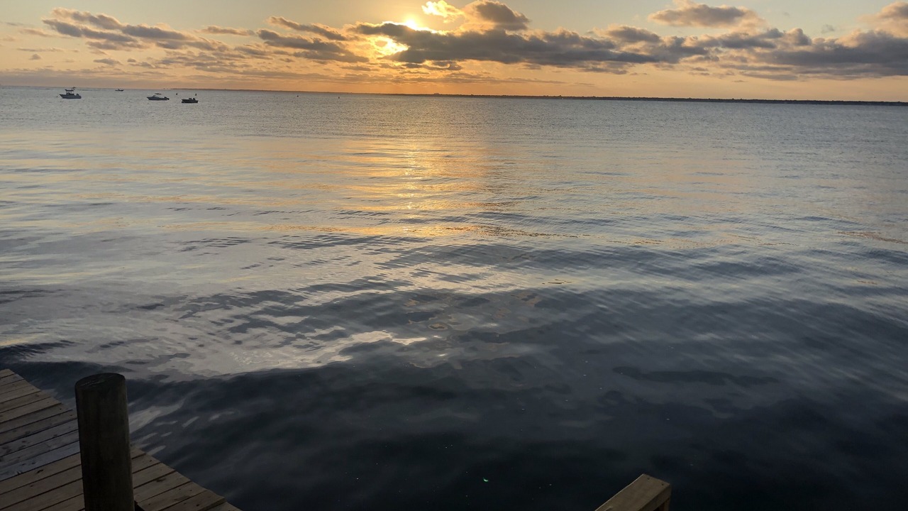 Photo of Others in Bayberry Dunes