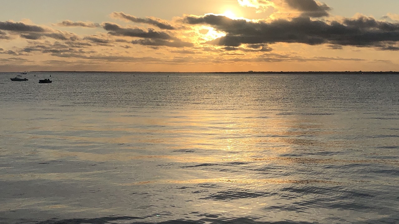 Photo of Others in Bayberry Dunes