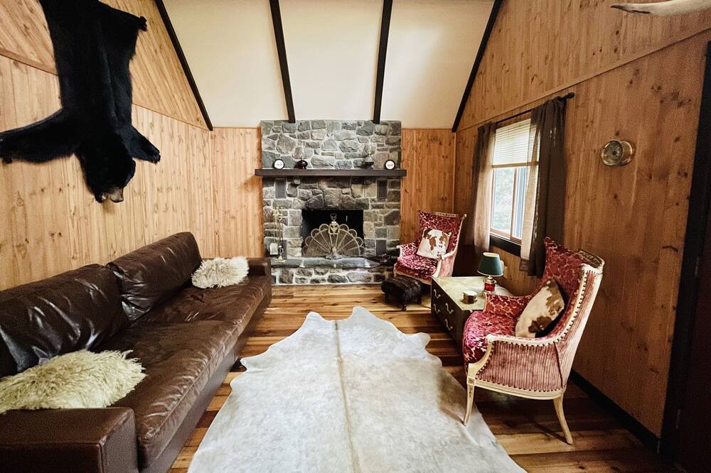 Photo of Livingroom in Pocono Pines