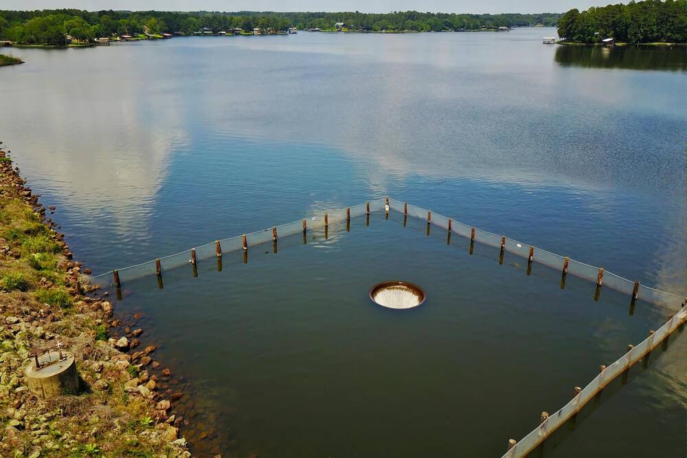 Photo of Outdoor in Crockett