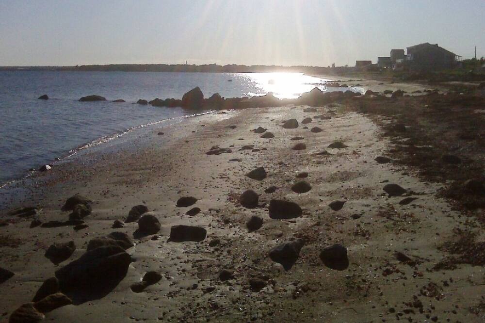 Photo of Others in Fairhaven