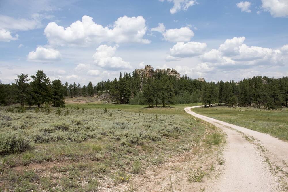 Photo of Others in Red Feather Lakes