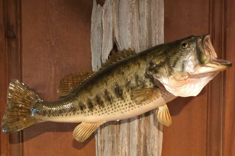 Photo of Others in Harrison