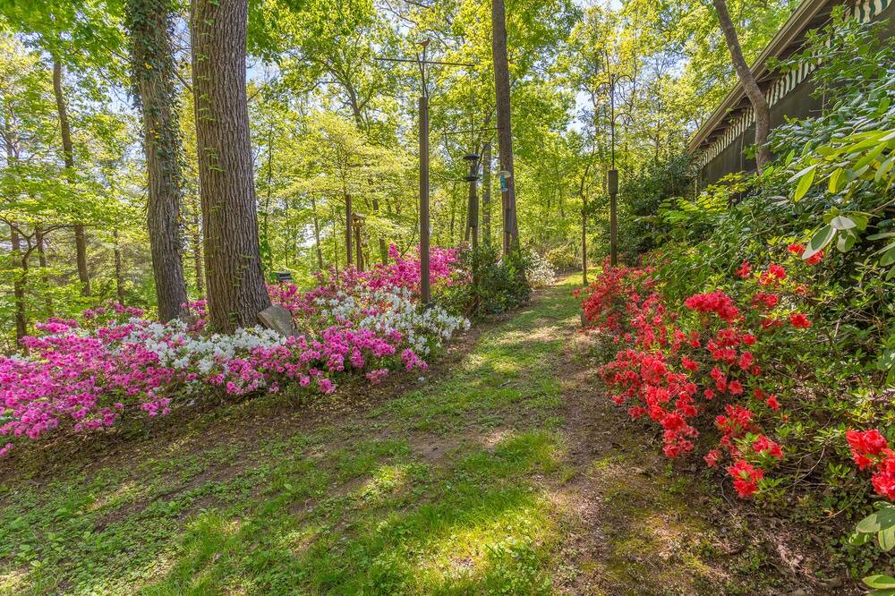 Photo of Outdoor in Harrison