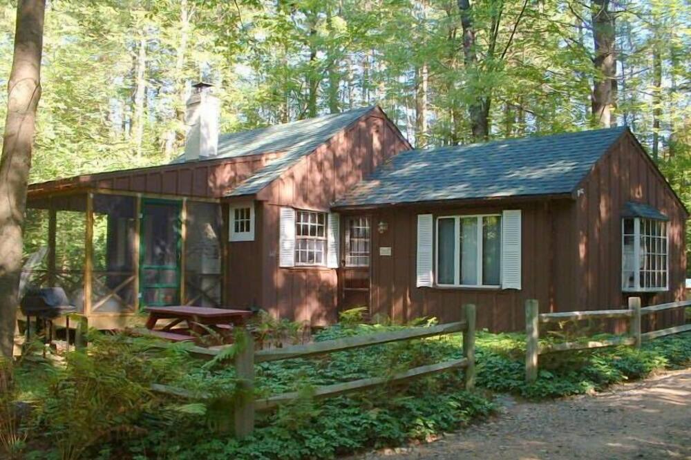 Photo of Others in Holderness