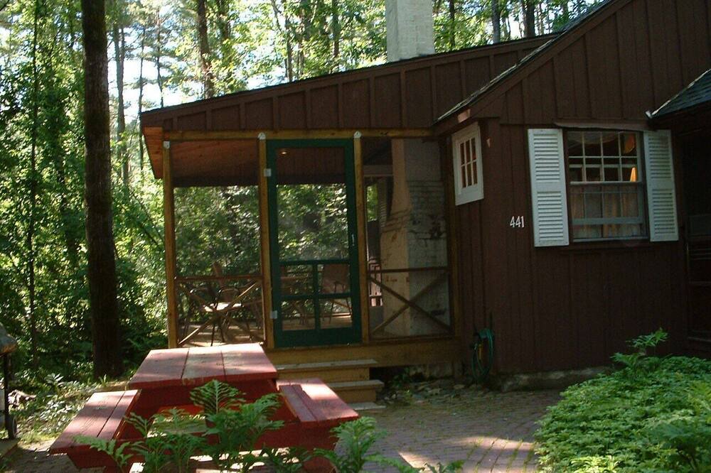 Photo of Others in Holderness